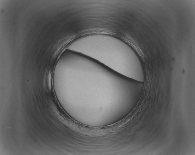 X0000087540014200704270935