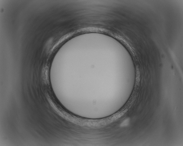 X0000087540016200704270935