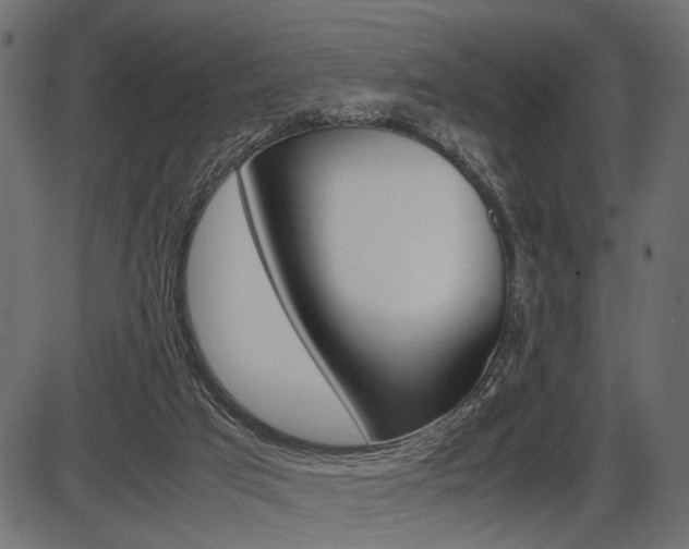X0000087540017200704270935