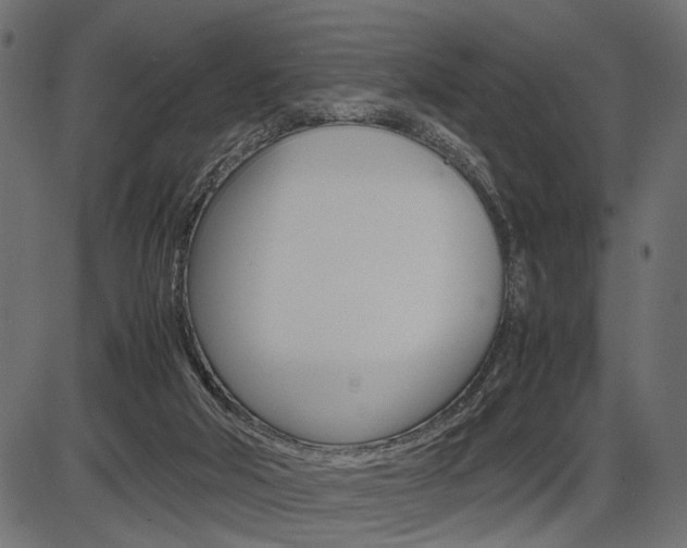 X0000087540018200704270935