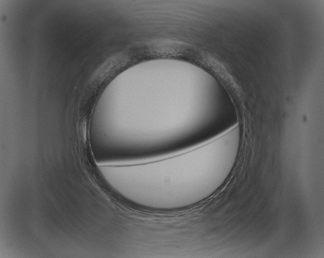 X0000087540021200704270935