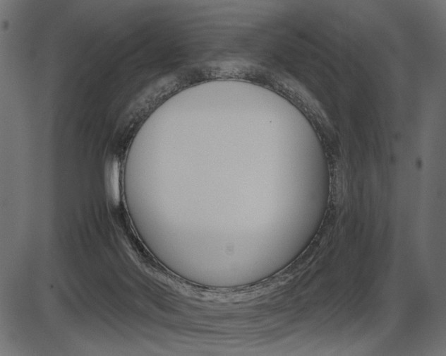 X0000087540022200704270935