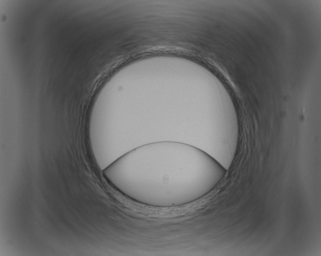 X0000087540023200704270935