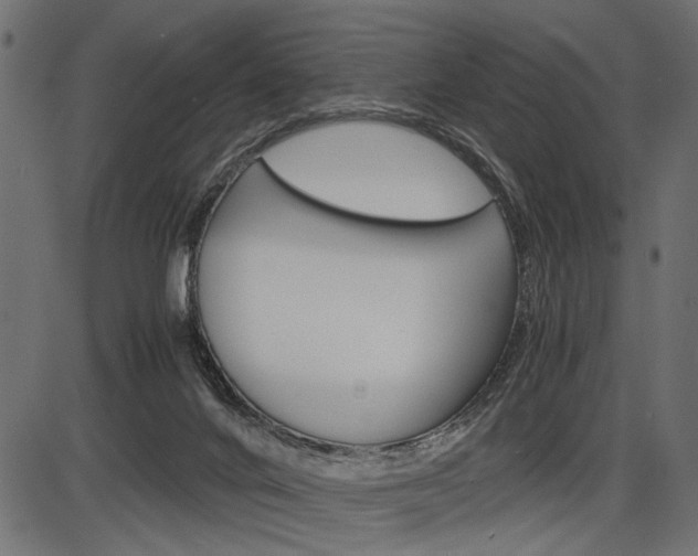X0000087540024200704270935