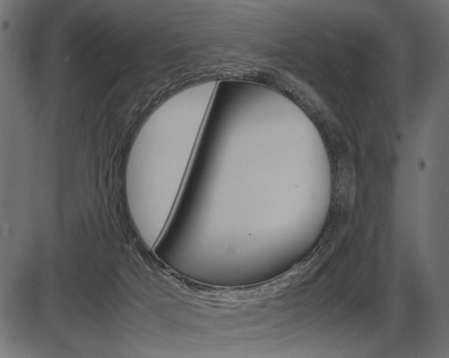 X0000087540025200704270935