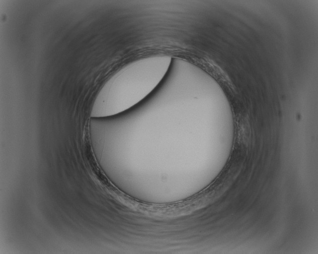 X0000087540026200704270935