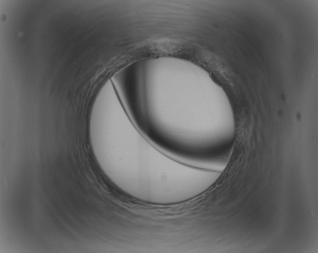 X0000087540027200704270935