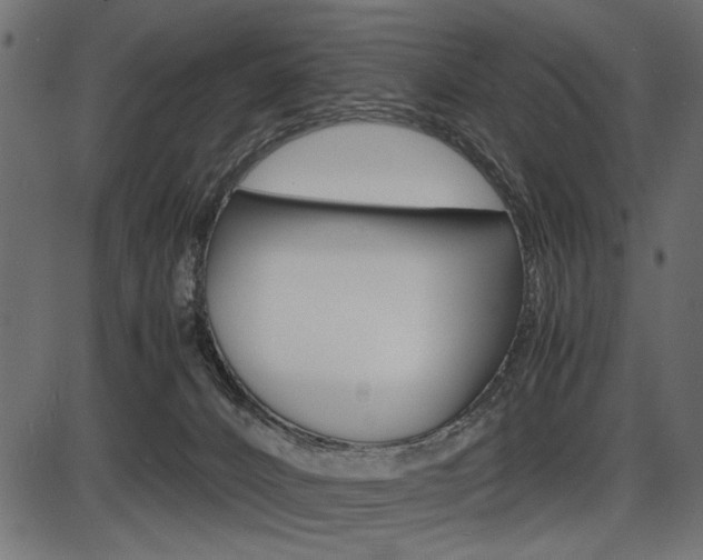 X0000087540032200704270935