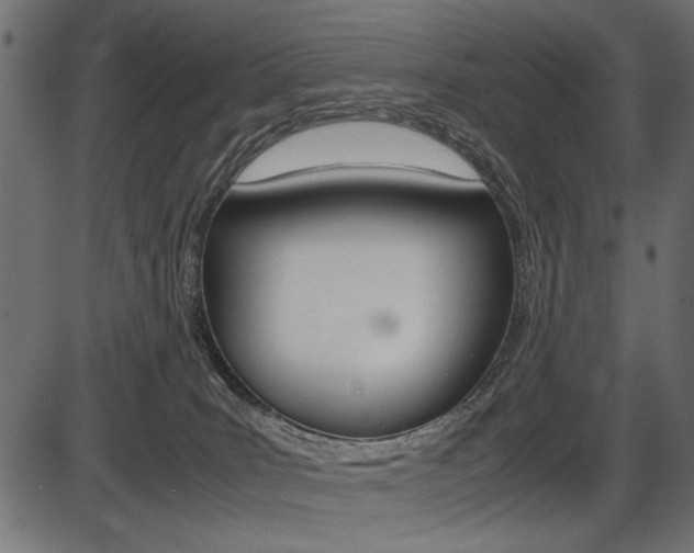 X0000087540035200704270935