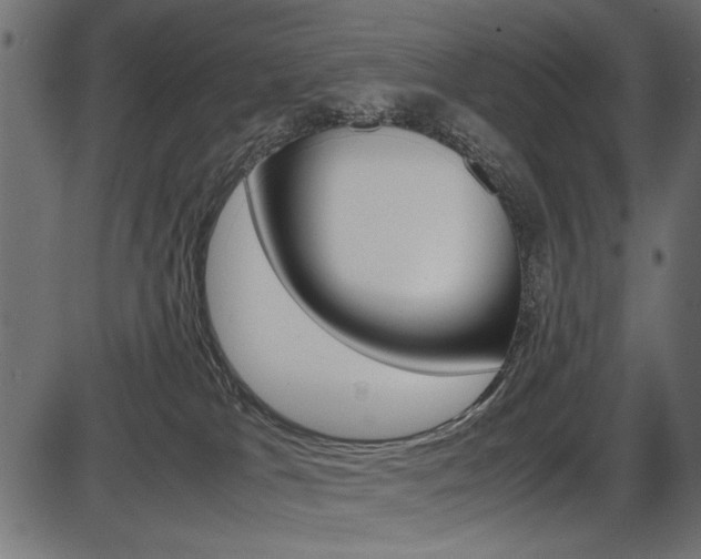 X0000087540037200704270935