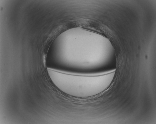 X0000087540041200704270935