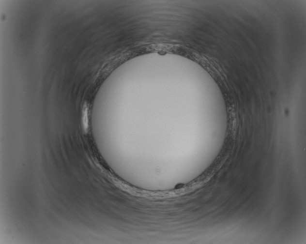 X0000087540042200704270935