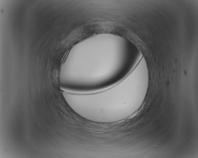 X0000087540045200704270935