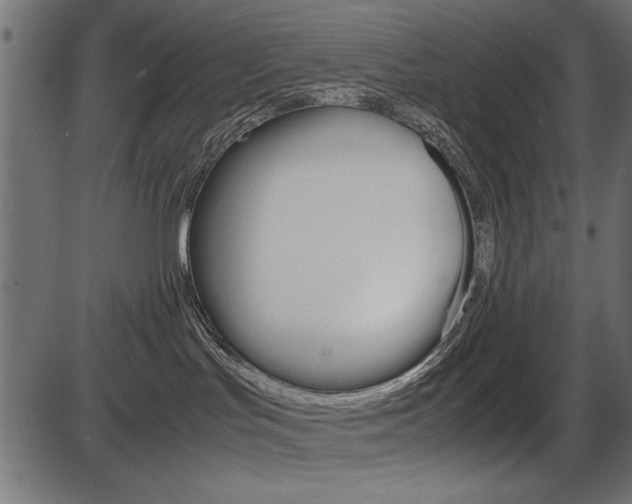 X0000087540047200704270934