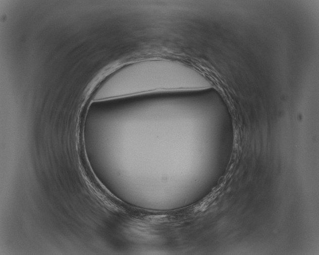 X0000087540054200704270934