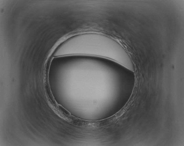 X0000087540056200704270934