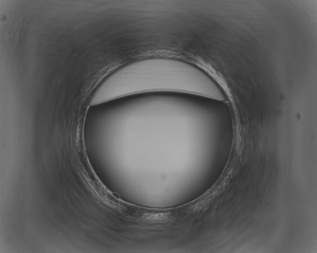 X0000087540057200704270934