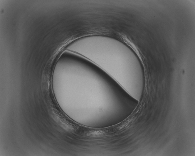 X0000087540059200704270934