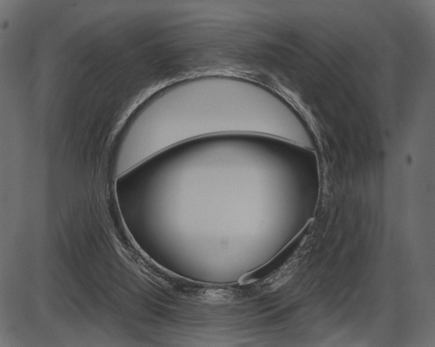 X0000087540060200704270934