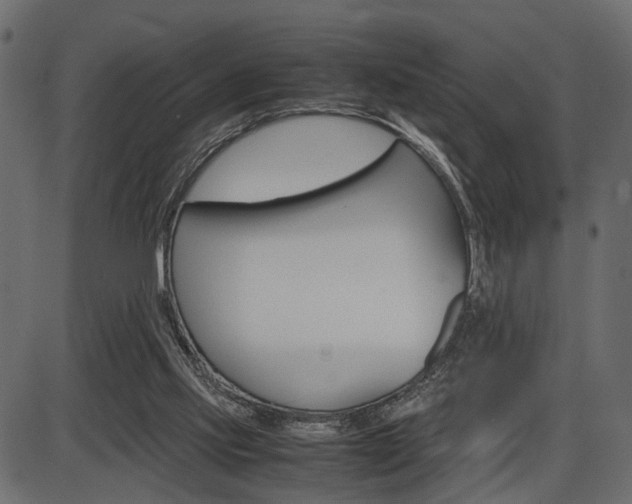 X0000087540061200704270934