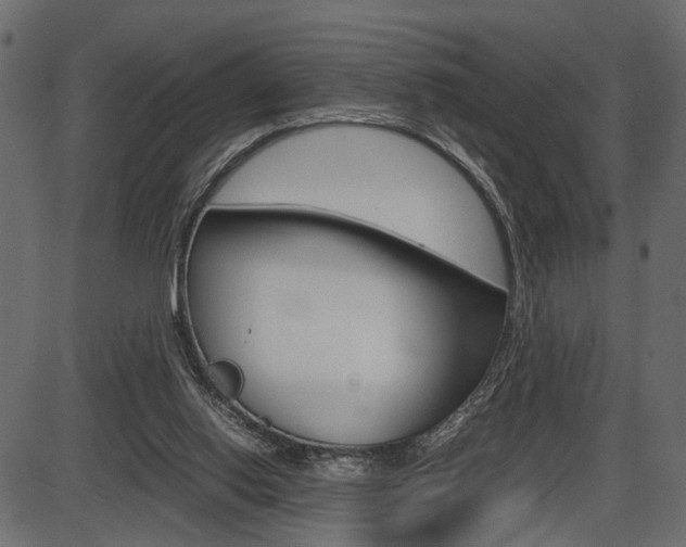 X0000087540062200704270934