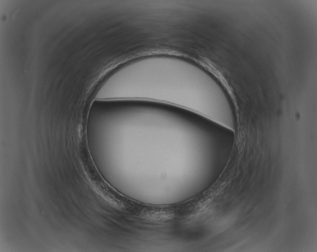 X0000087540063200704270934