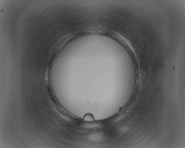 X0000087540065200704270934