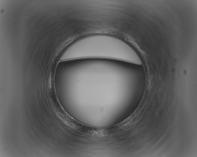 X0000087540068200704270934