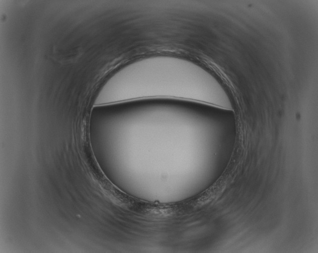 X0000087540071200704270934