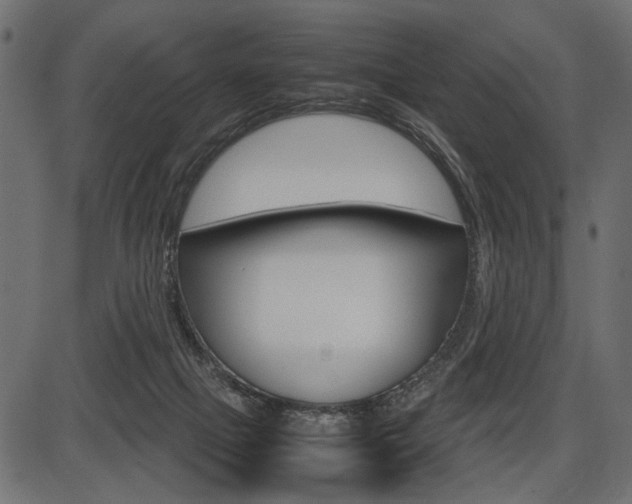 X0000087540073200704270934