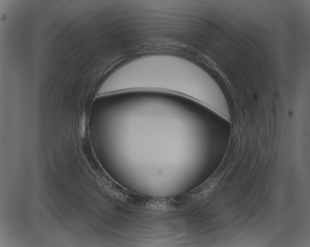 X0000087540076200704270934
