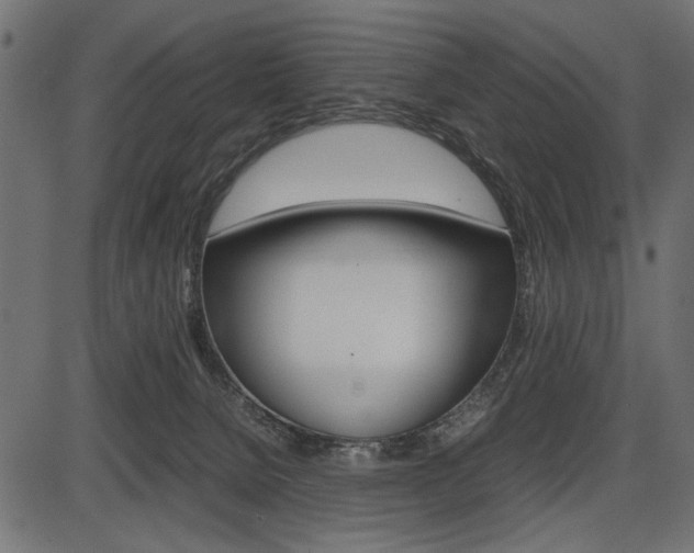 X0000087540080200704270934
