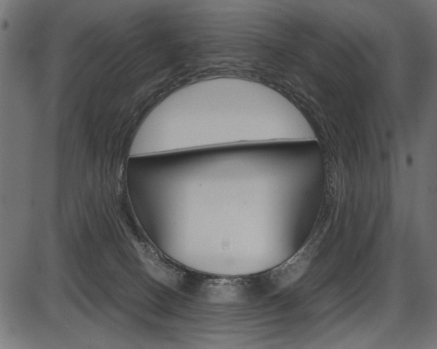 X0000087540082200704270934