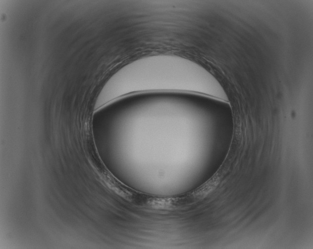 X0000087540084200704270934