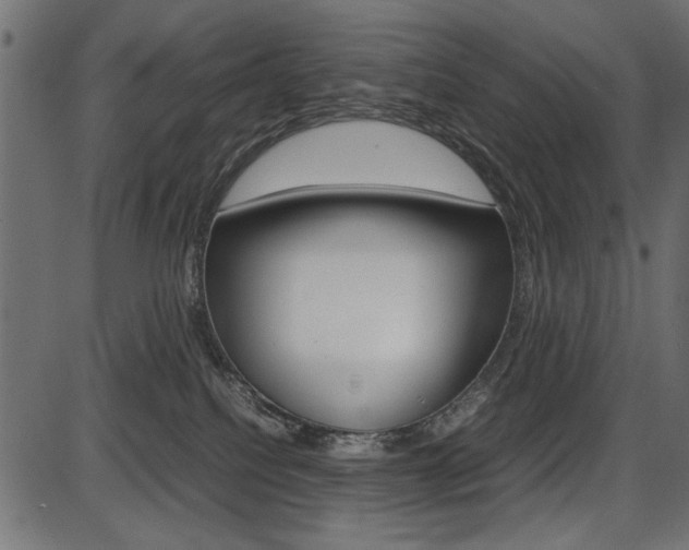 X0000087540088200704270934