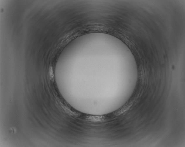 X0000087540089200704270934
