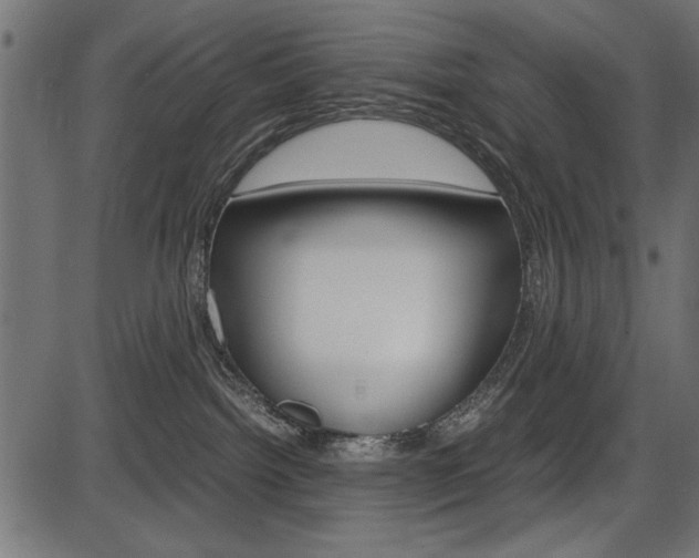X0000087540092200704270934