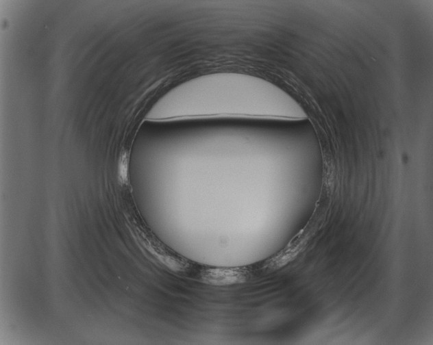 X0000087540095200704270934