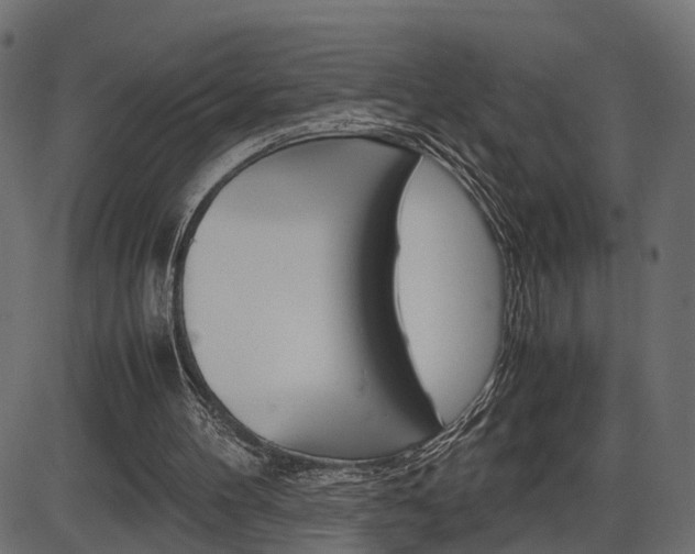 X0000087540100200704270934