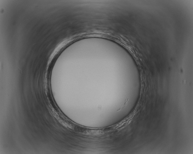 X0000087540102200704270934