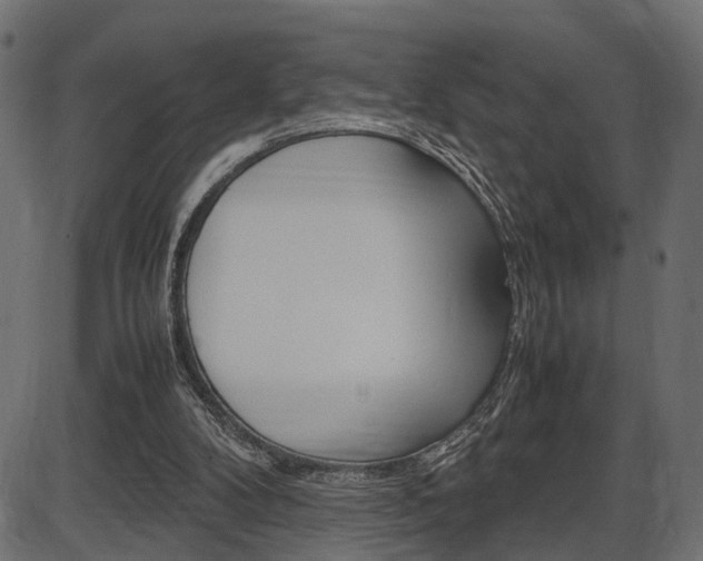 X0000087540104200704270934