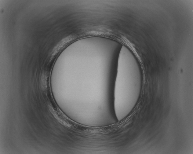 X0000087540106200704270934
