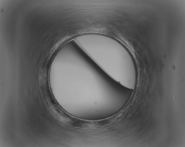 X0000087540107200704270934