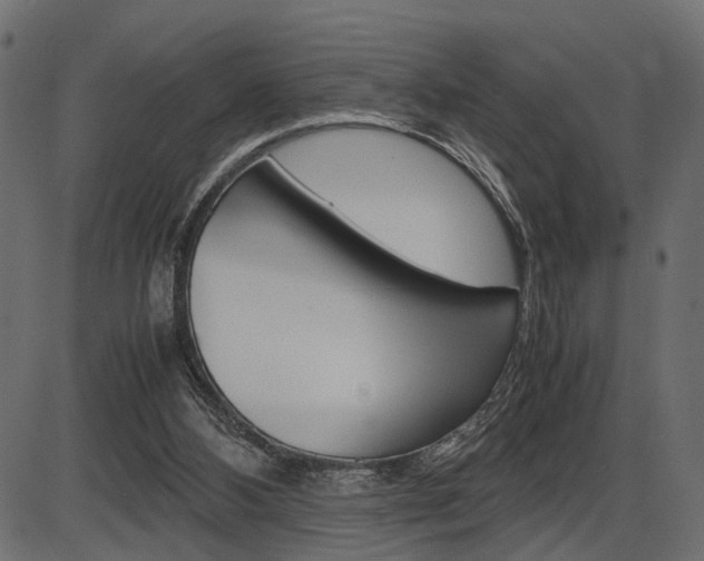 X0000087540108200704270933