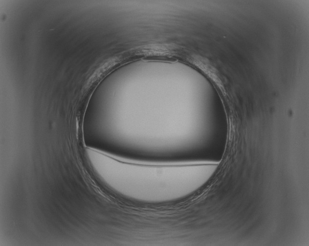 X0000087540109200704270933