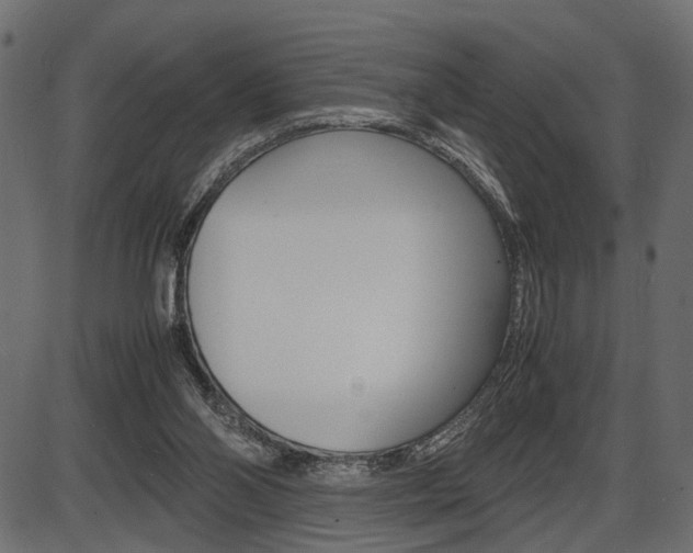 X0000087540110200704270933