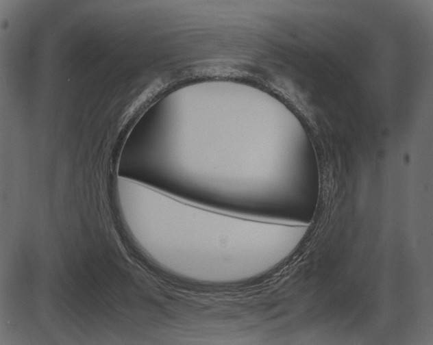X0000087540111200704270933