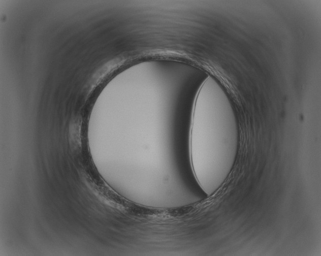 X0000087540112200704270933