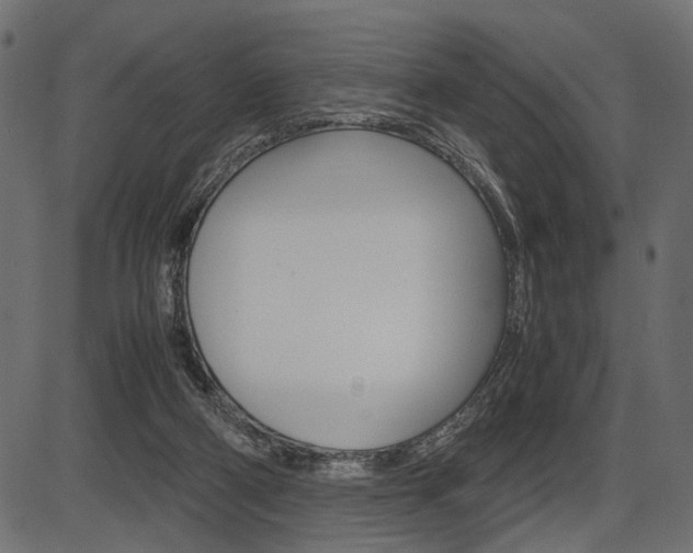 X0000087540114200704270933