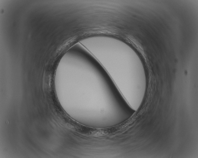 X0000087540115200704270933